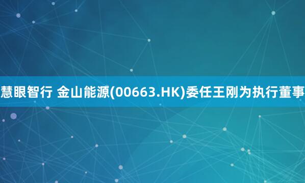 慧眼智行 金山能源(00663.HK)委任王刚为执行董事